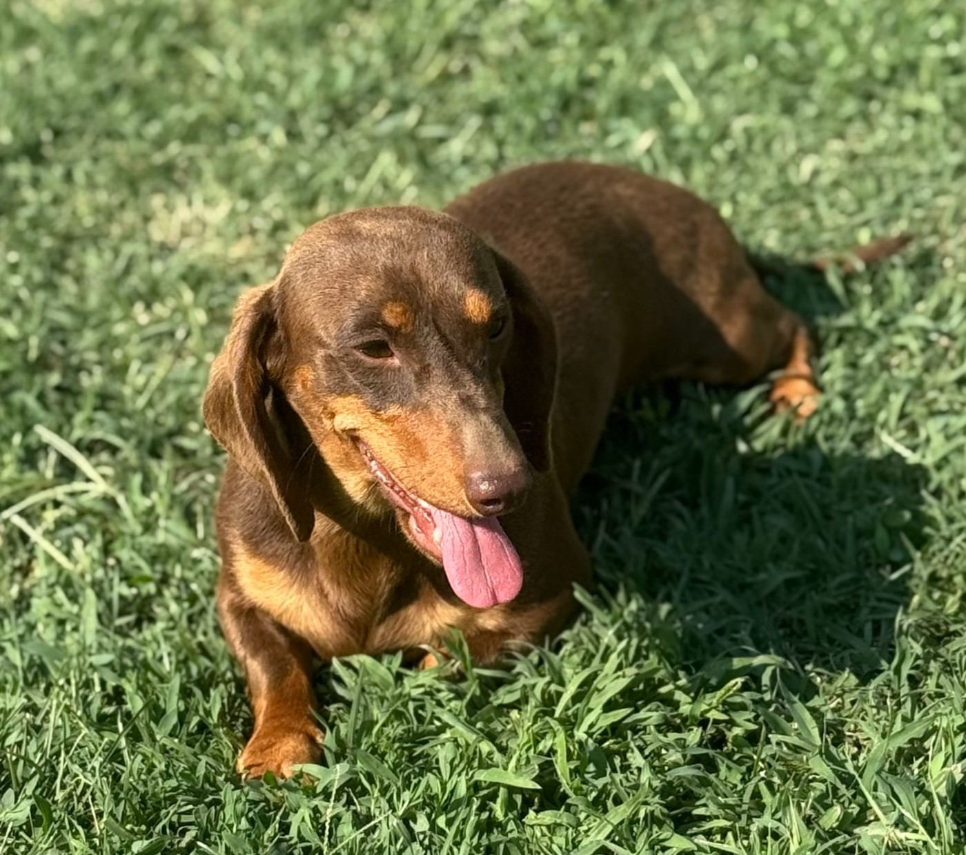 VERSO Des p'tits chupa chups